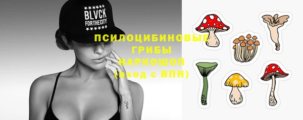 крисы Абинск