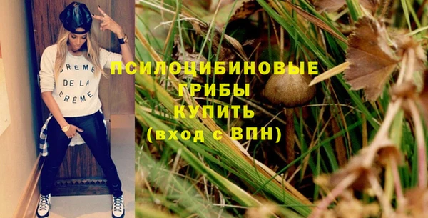 соль ск Абдулино