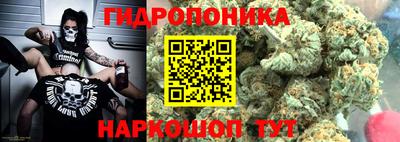 альфа пвп Новодвинск