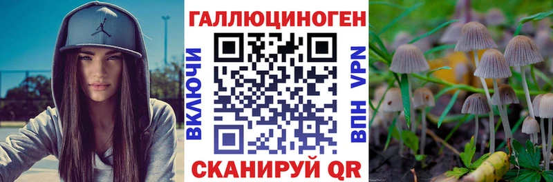 mega зеркало  Юрга  Псилоцибиновые грибы ЛСД  где продают наркотики 