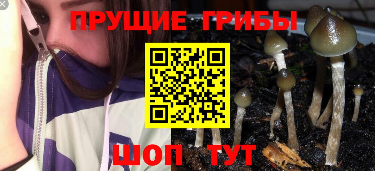 Псилоцибиновые грибы Magic Shrooms  Вход с VPN  Юрга 