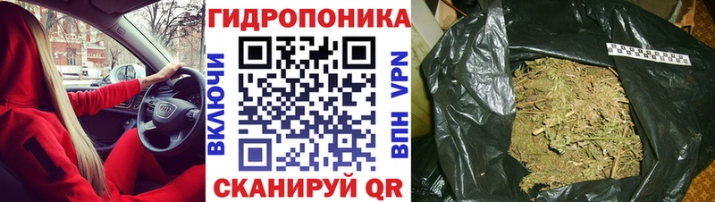 мориарти состав  что такое   Юрга  Марихуана планчик 